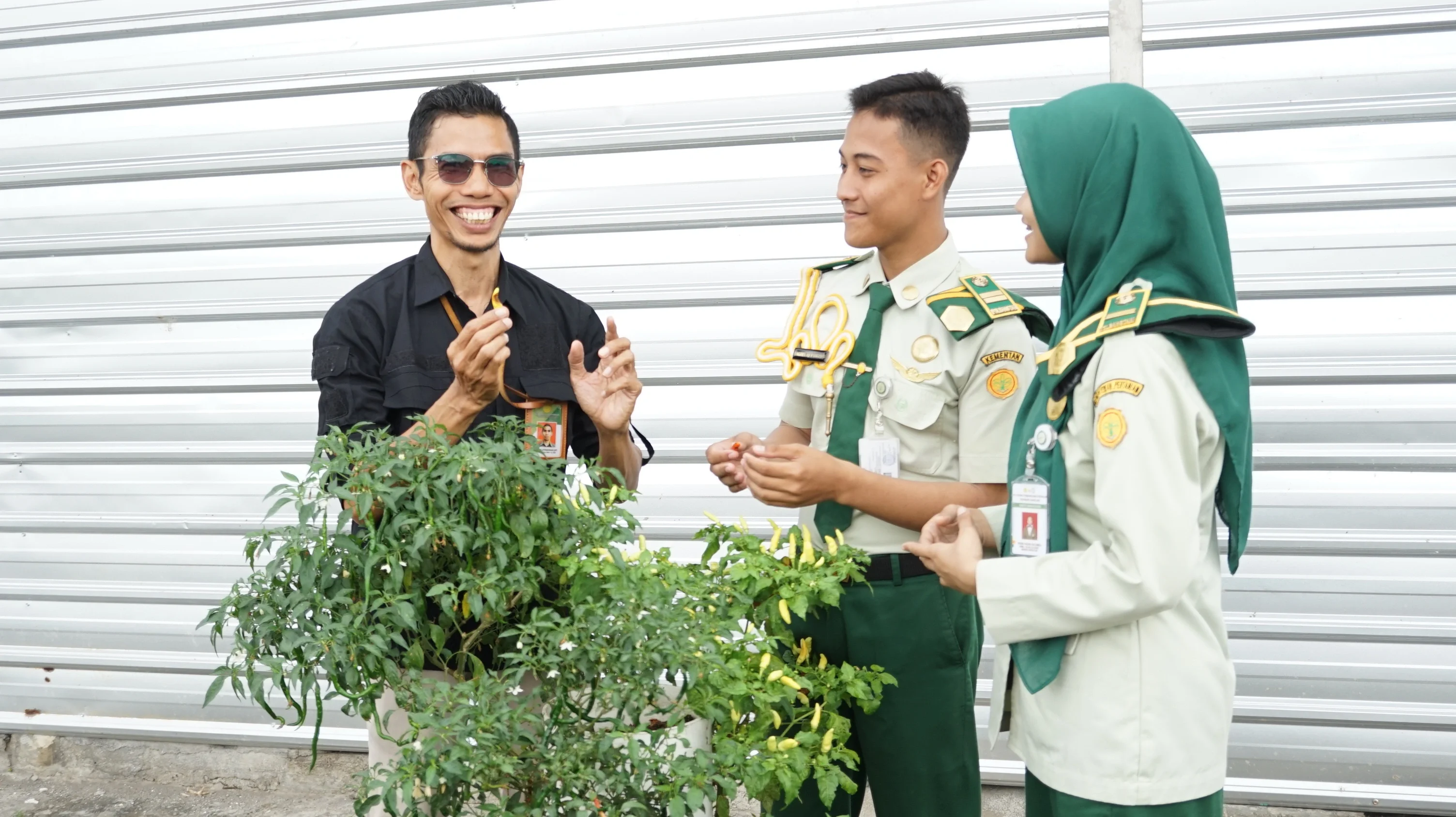 Portal berita pertanian terkini