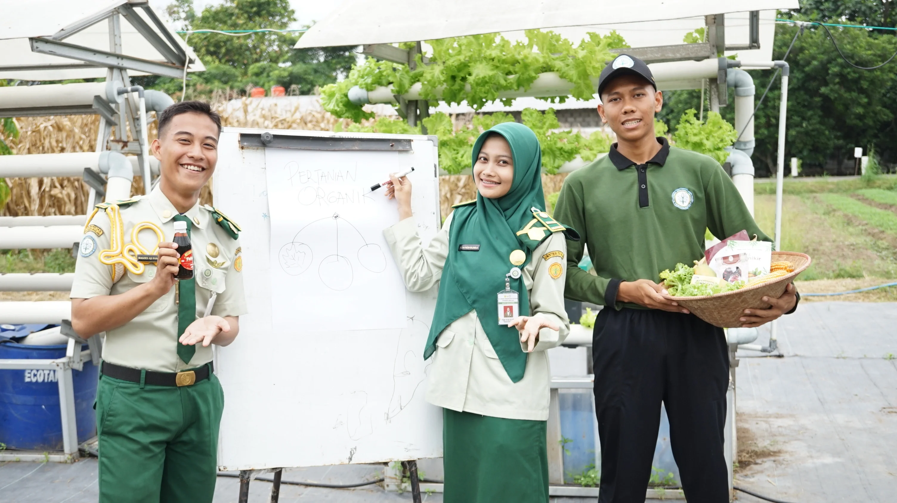Marketplace pertanian online