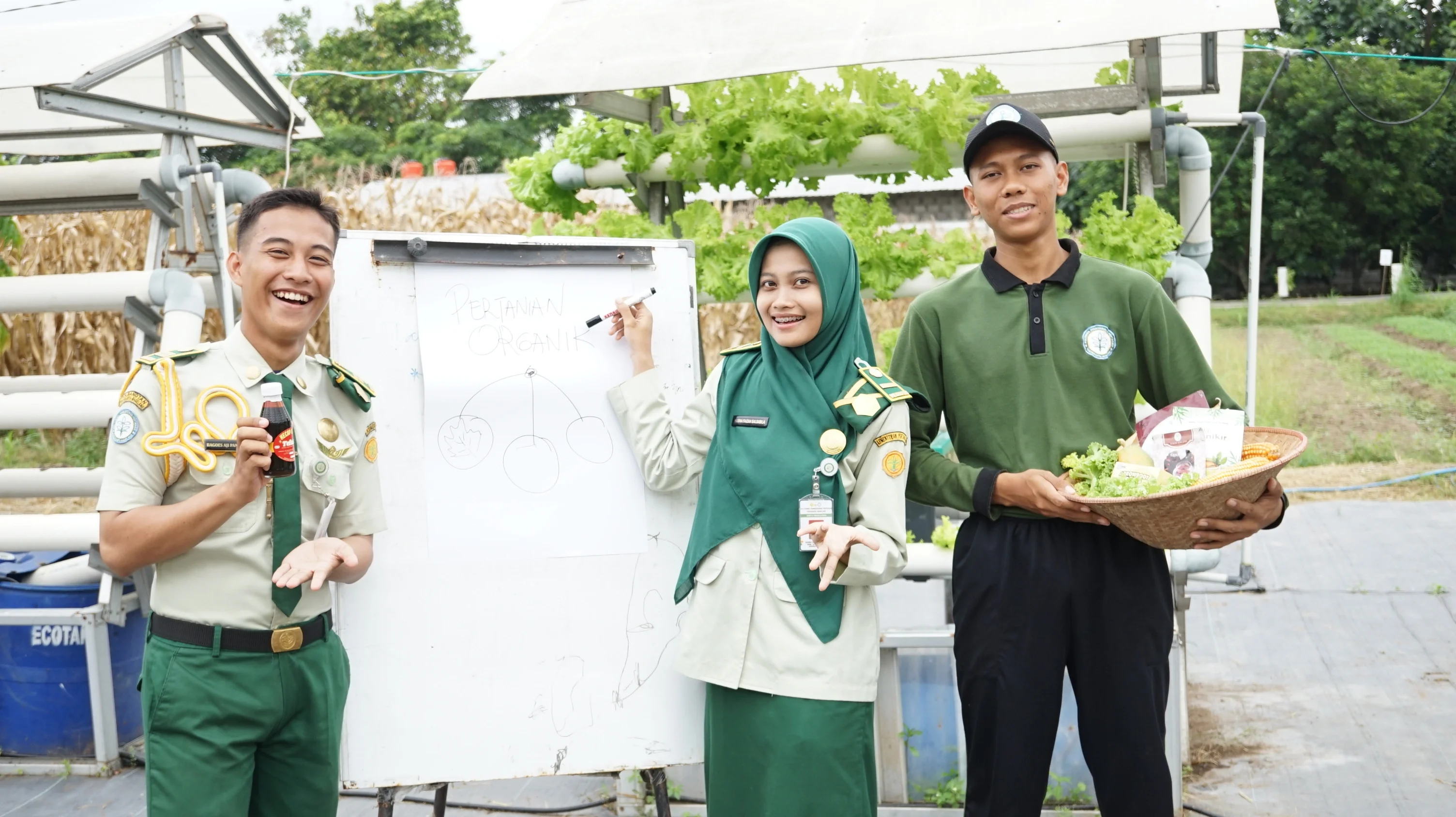Konten edukasi pertanian